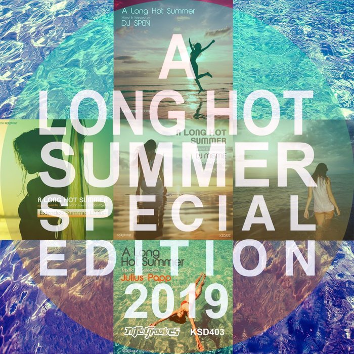 VARIOUS - A Long Hot Summer Special Edition 2019