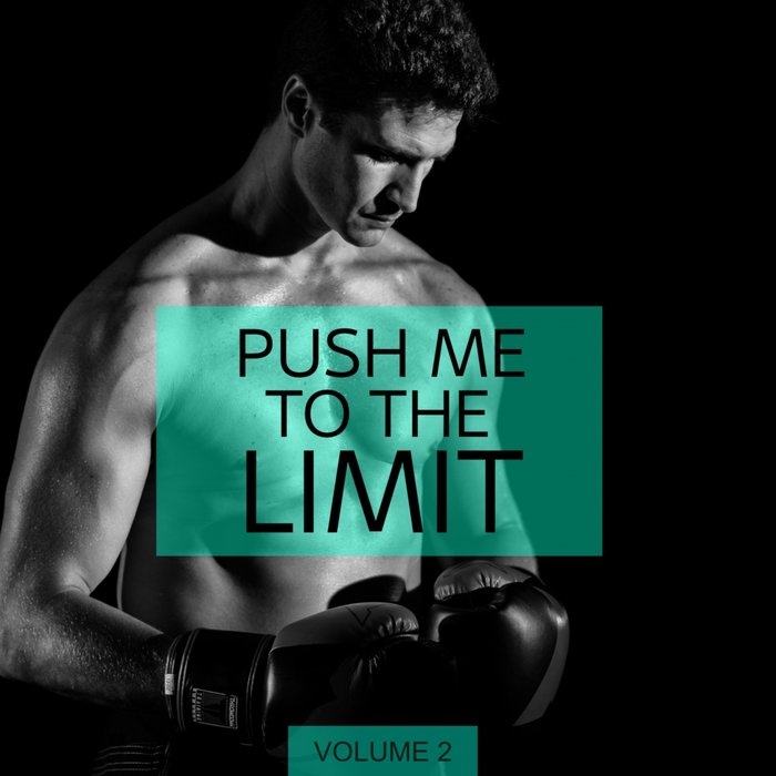 VARIOUS - Push Me To The Limit Vol 2