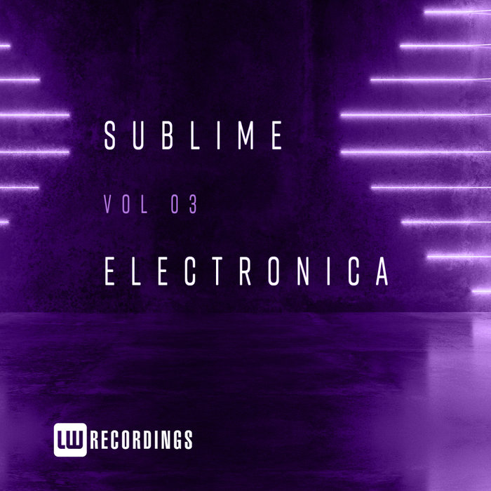 VARIOUS - Sublime Electronica Vol 03