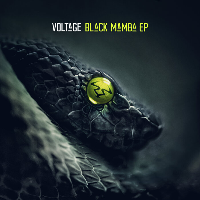 VOLTAGE - Black Mamba