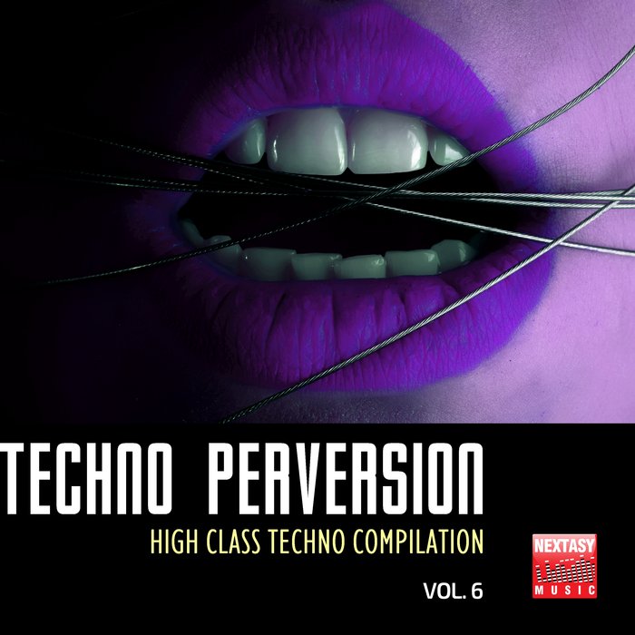 VARIOUS - Techno Perversion Vol 6 (High Class Techno Compilation)