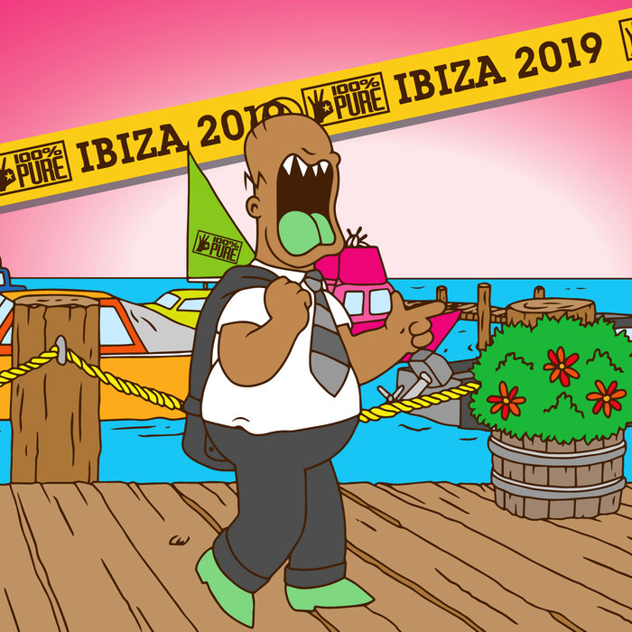 VARIOUS - 100% Pure Ibiza 2019