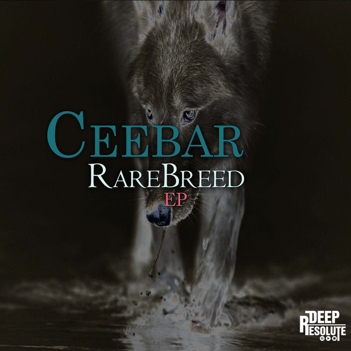 CEEBAR - RareBreed EP