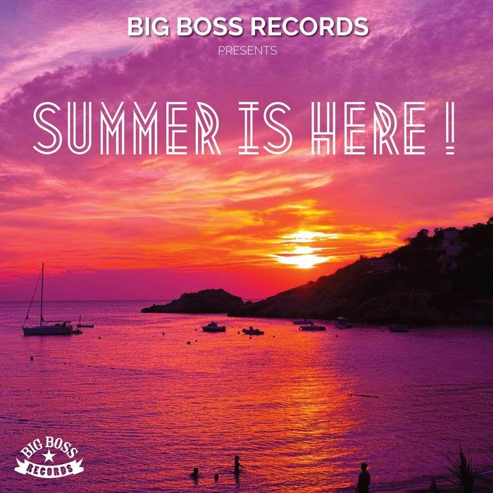 VARIOUS - Summer Is Here!