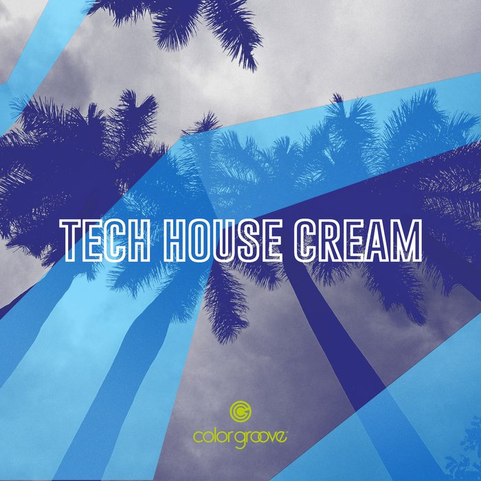 VARIOUS - Tech House Cream