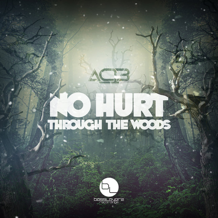 AC13 - No Hurt/Through The Woods