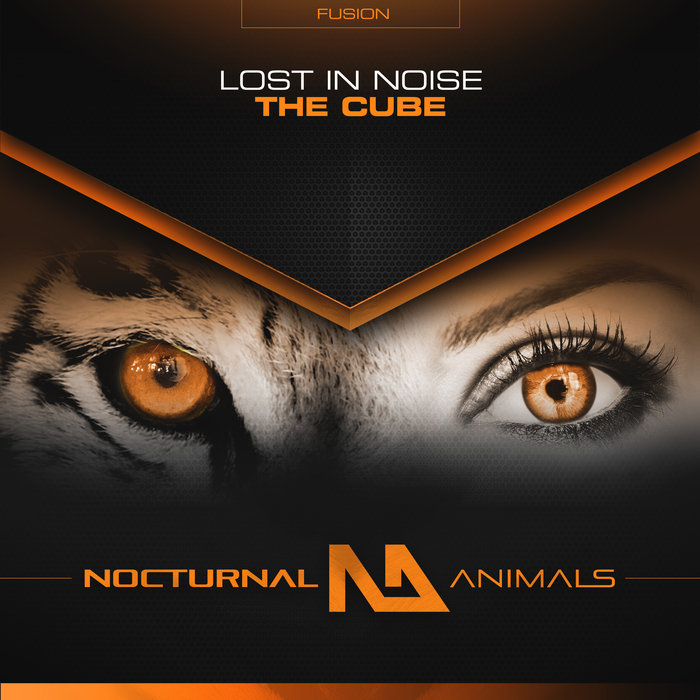 LOST IN NOISE - The Cube