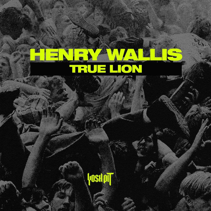 HENRY WALLIS - True Lion