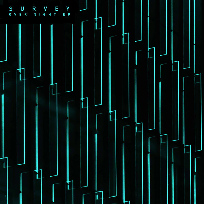 SURVEY - Over Night EP