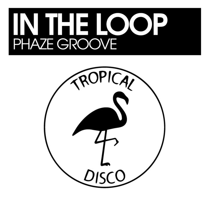 PHAZED GROOVE - In The Loop