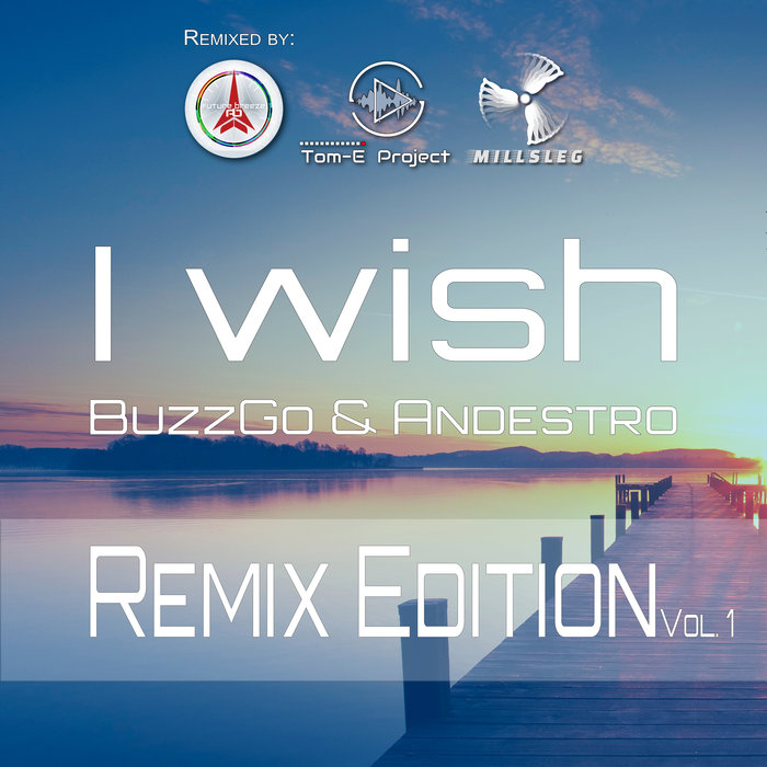 BUZZGO/ANDESTRO - I Wish - Remix Edition Vol 1