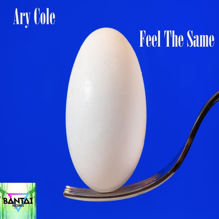 ARY COLE - Feel The Same