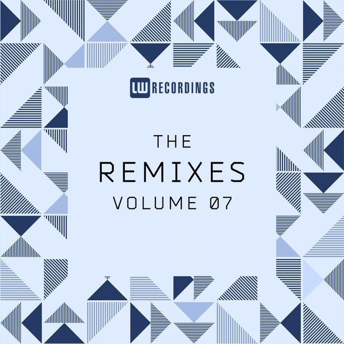 VARIOUS - The Remixes Vol 07