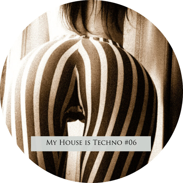 VARIOUS - My House Is Techno #06