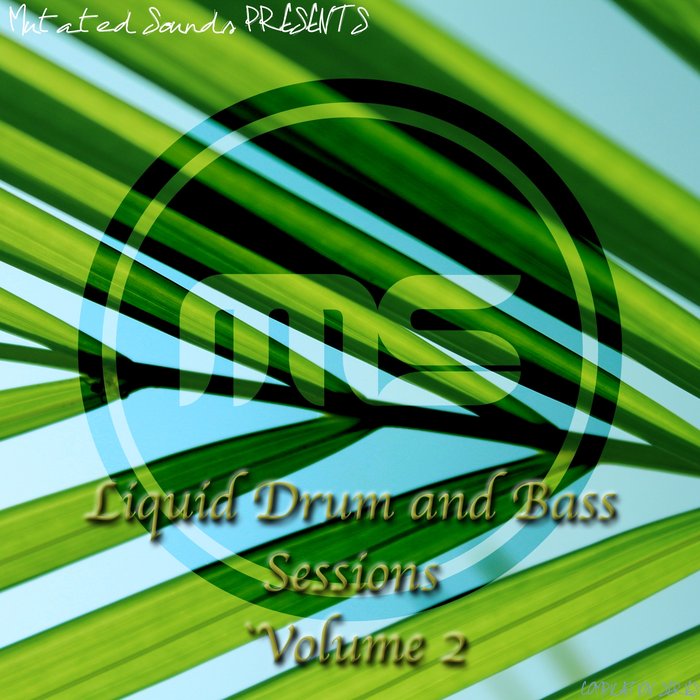 CHANGE OF PACE/XONEOUT/SYNIKAL - Liquid Drum & Bass Sessions (Vol 2)
