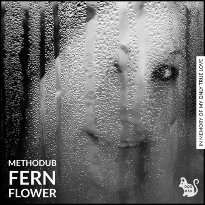 METHODUB - Fern Flower