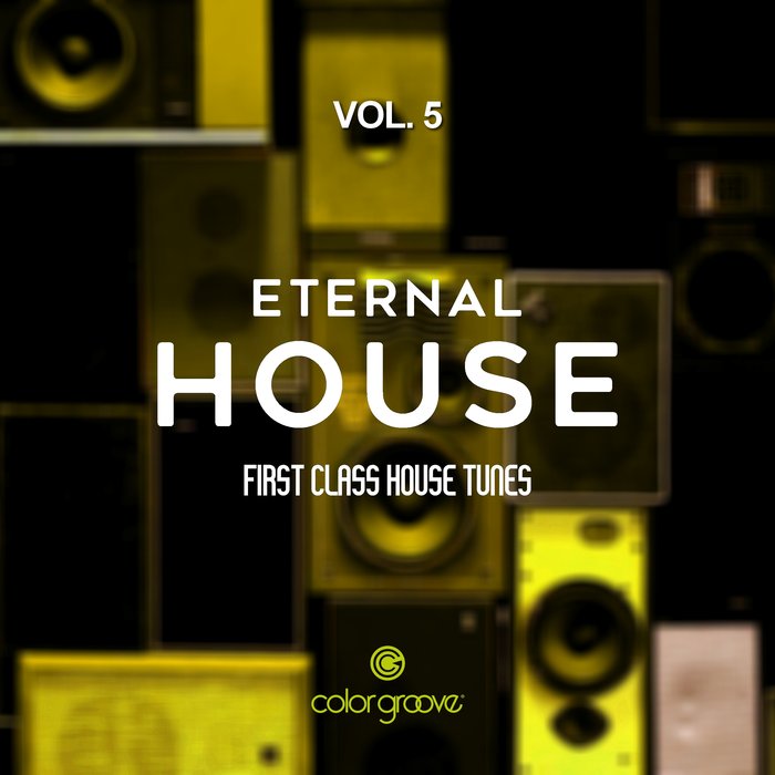 VARIOUS - Eternal House Vol 5 (First Class House Tunes)