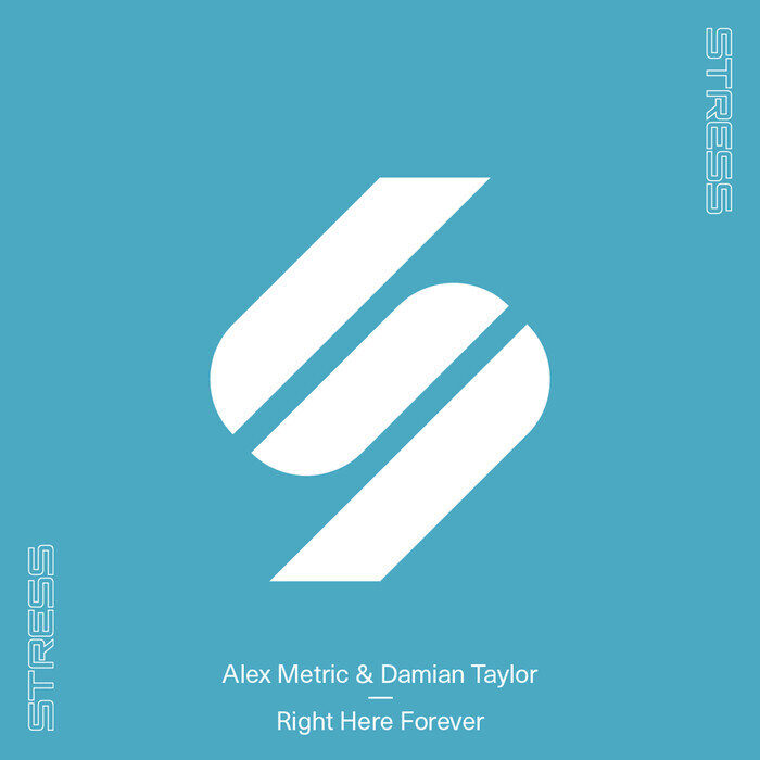 ALEX METRIC/DAMIAN TAYLOR - Right Here Forever