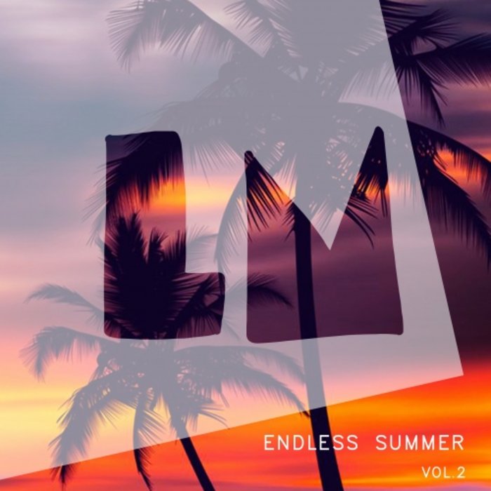 VARIOUS - Endless Summer Vol 2