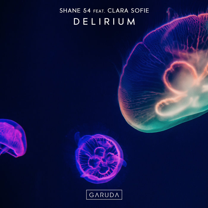 SHANE 54 feat CLARA SOFIE - Delirium
