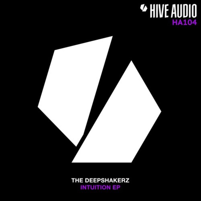 THE DEEPSHAKERZ - Intuition