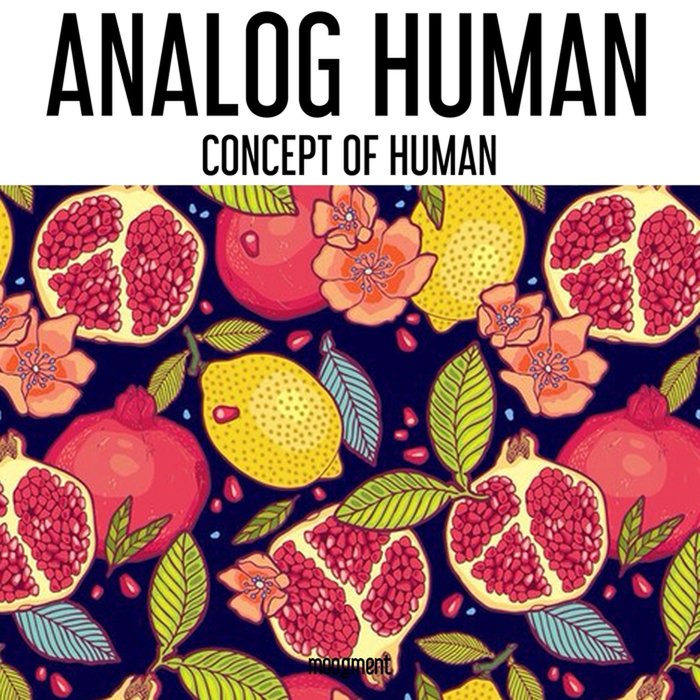 ANALOG HUMAN - Concept Of Human