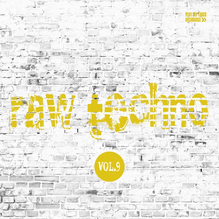 VARIOUS - Raw Techno Vol 9