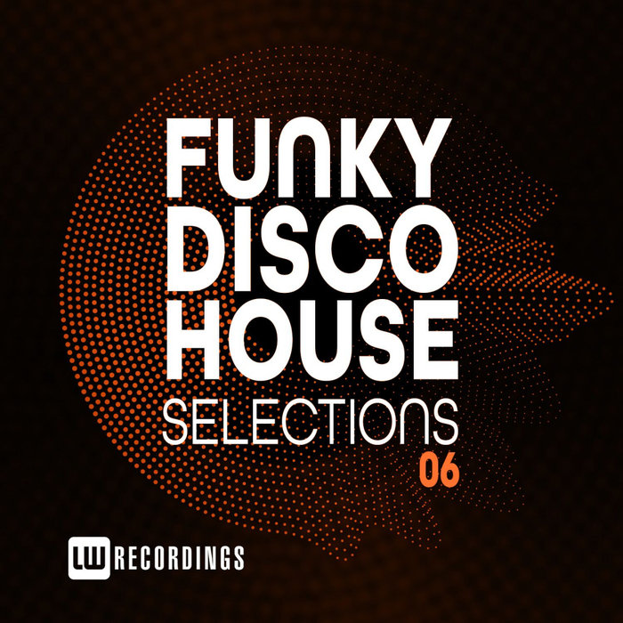 VARIOUS - Funky Disco House Selections Vol 06