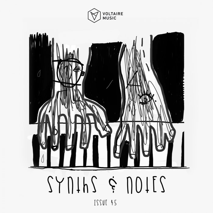 VARIOUS - Synths And Notes 45