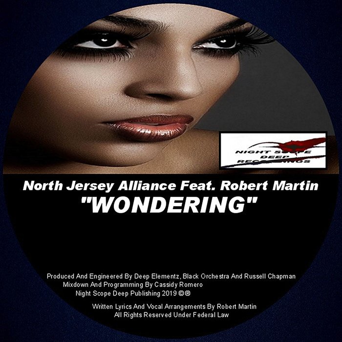 NORTH JERSEY ALLIANCE feat ROBERT MARTIN - Wondering