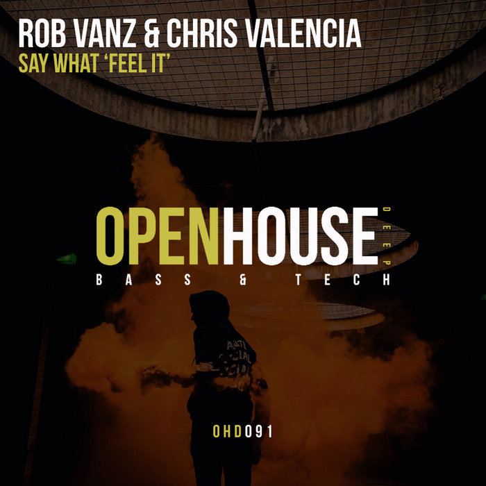 ROB VANZ/CHRIS VALENCIA - Say What (Feel It)