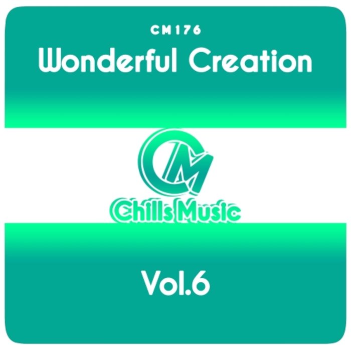 VARIOUS - Wonderful Creation Vol 6