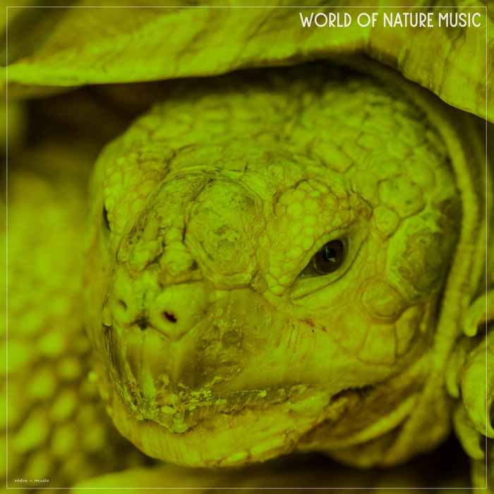 VARIOUS - World Of Nature Music