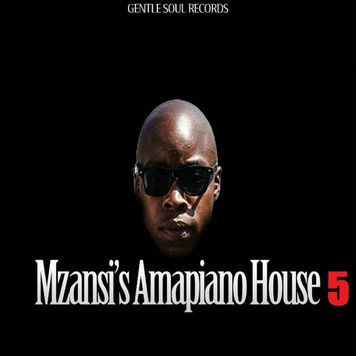 VARIOUS/DJ GENERAL SLAM - Mzansi's Amapiano House 5 (By DJ General Slam)