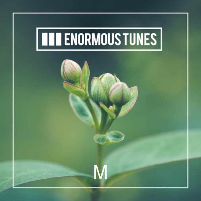 VARIOUS - Enormous Tunes - 1000
