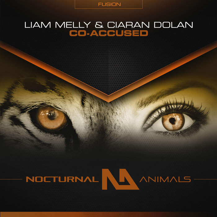 LIAM MELLY & CIARAN DOLAN - Co Accused