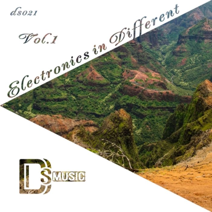 VARIOUS - Electronics In Different Vol 1