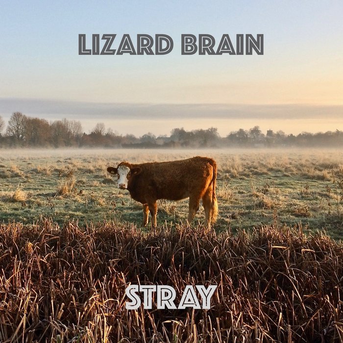 LIZARD BRAIN - Stray