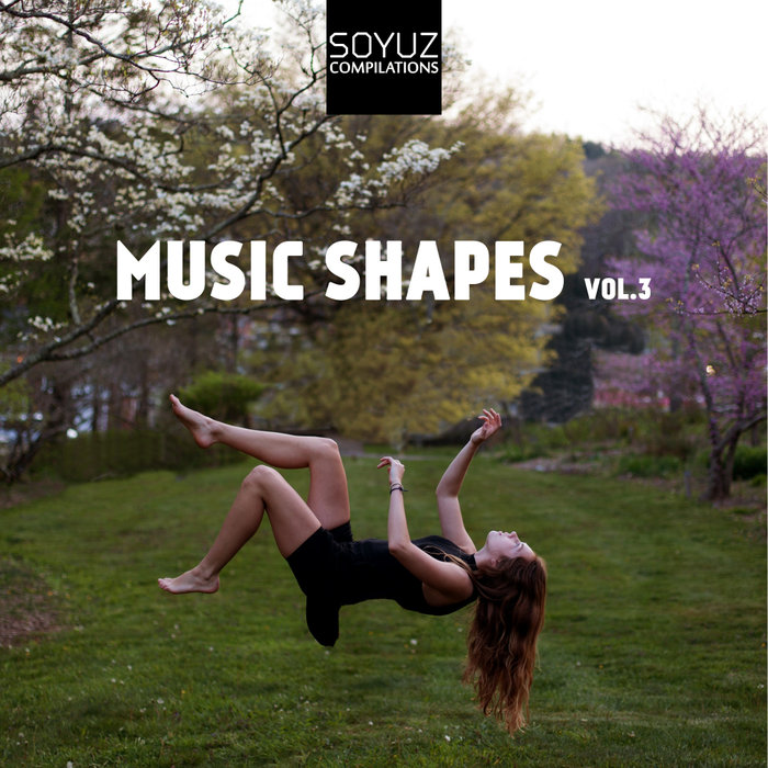 VARIOUS - Music Shapes Vol 3