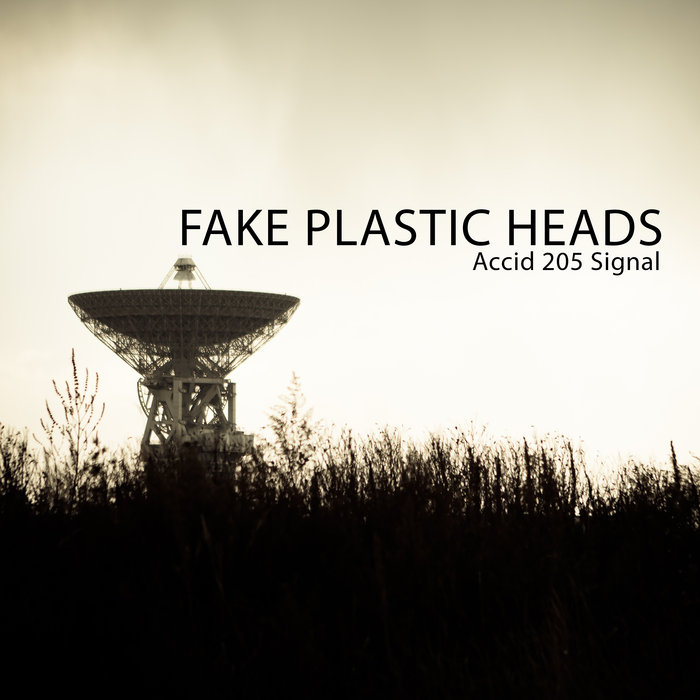 FAKE PLASTIC HEADS - Accid 205 Signal