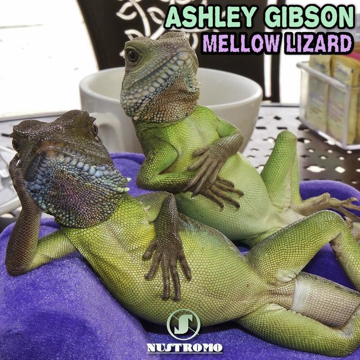 ASHLEY GIBSON - Mellow Lizard