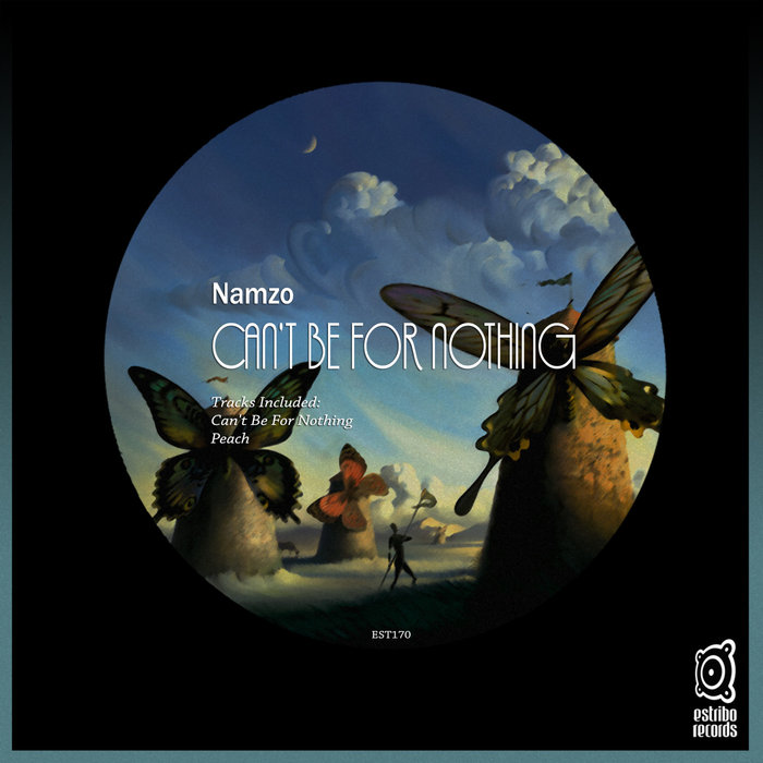 NAMZO - Can't Be For Nothing