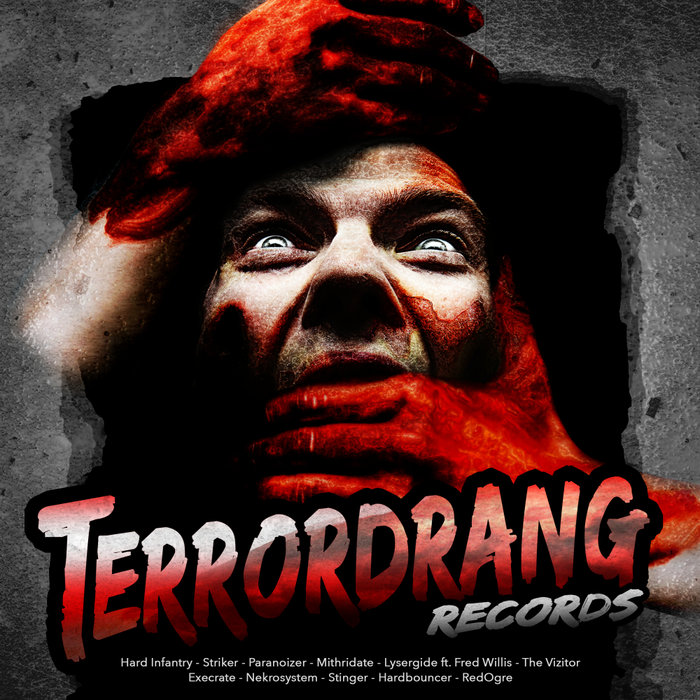 VARIOUS - Terrordrang Records #2