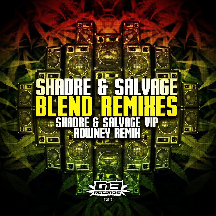 SHADRE & SALVAGE - Blend Remixes