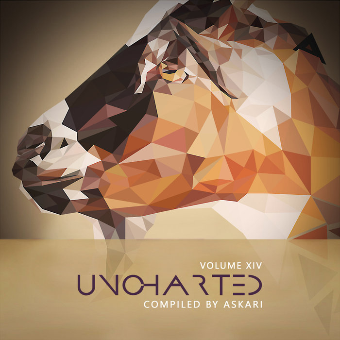 VARIOUS - Uncharted Vol 14