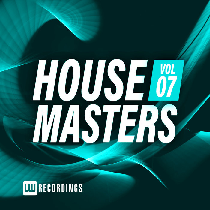 VARIOUS - House Masters Vol 07