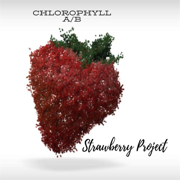 CHLOROPHYLL AB - Strawberry Project
