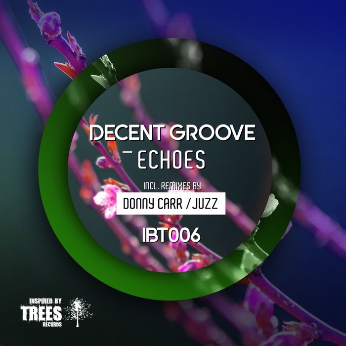 DECENT GROOVE - Echoes