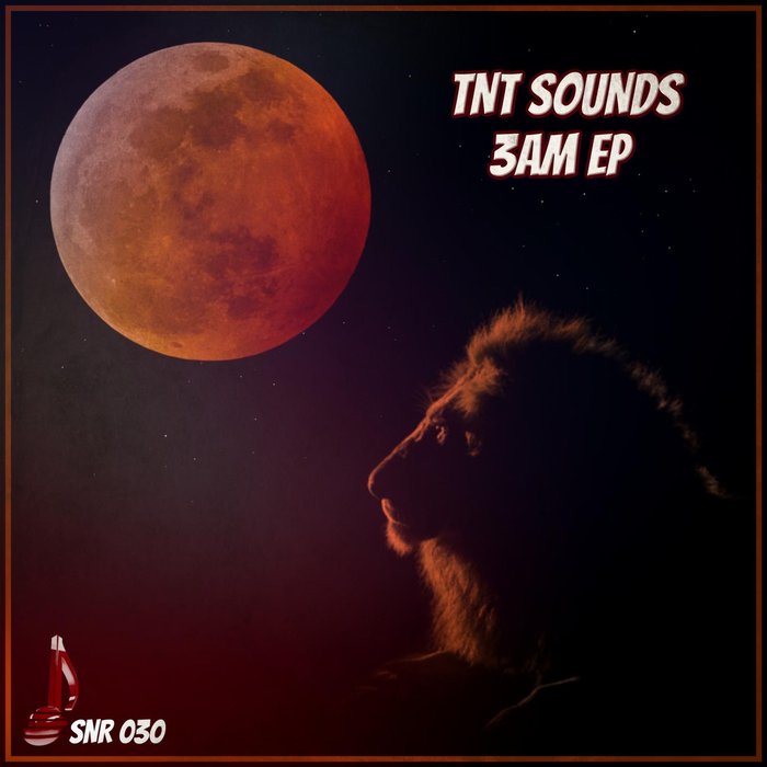 TNT SOUNDS - 3AM EP