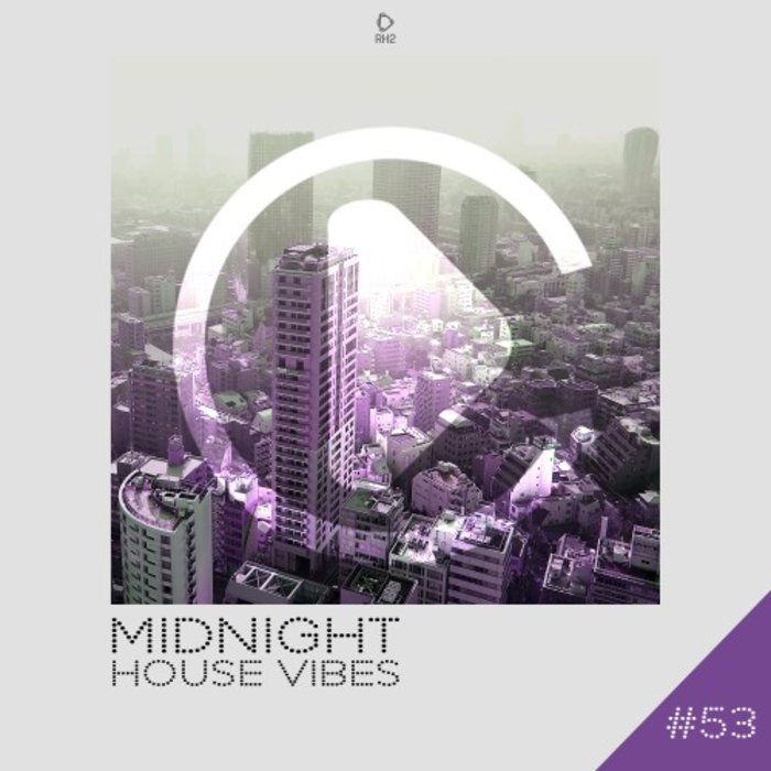 VARIOUS - Midnight House Vibes Vol 53
